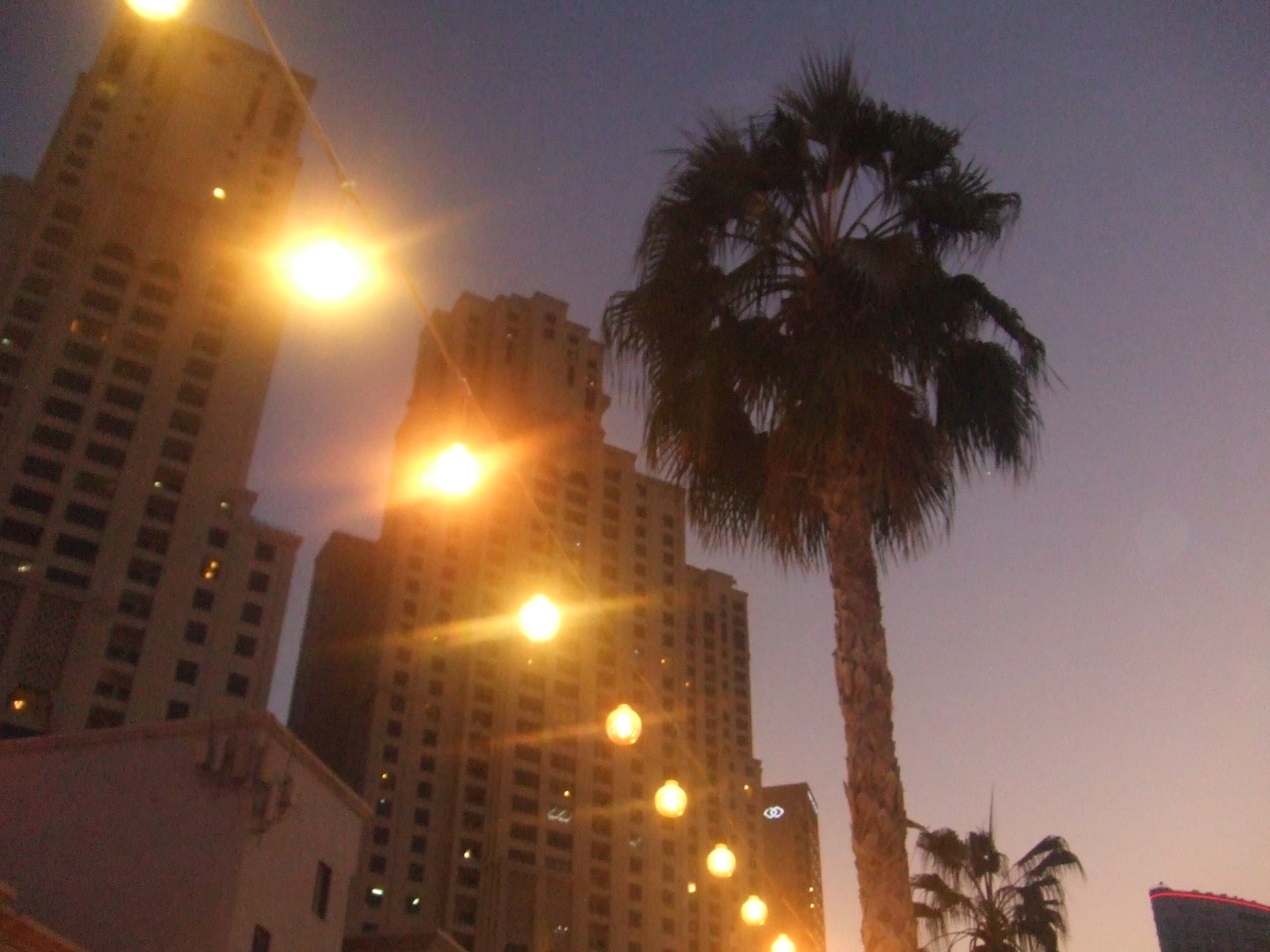 Photo from Dec 27, 2024 in Dubai
